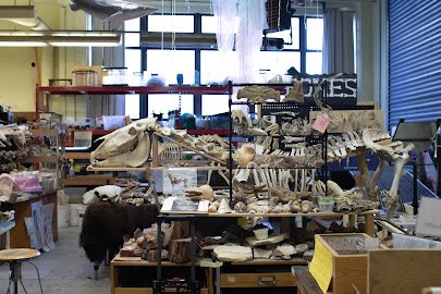 Mission Science Workshop - Excelsior Site photo 3
