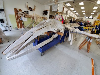 Mission Science Workshop - Excelsior Site photo 6