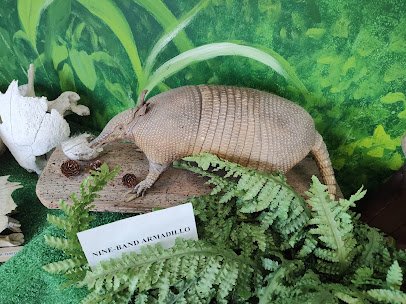 Museum of the Islands photo 5