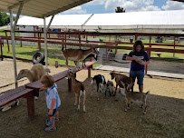 Petting Zoo Ocala photo 3