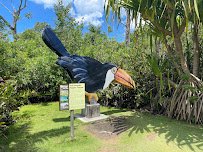 Naples Zoo at Caribbean Gardens photo 6