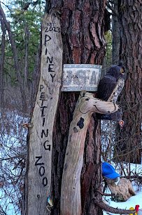 Piney Petting Zoo photo 2