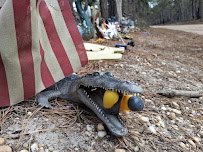 Piney Petting Zoo photo 6