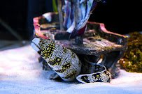 The Ocean Floor photo 3