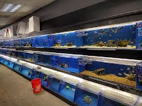 The Ocean Floor photo 4