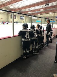 The Ice Ranch photo 6