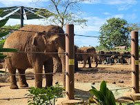 Honolulu Zoo photo 5