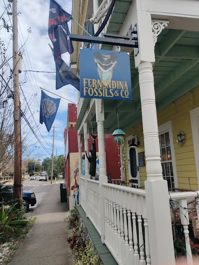Fernandina Fossils & Co.
