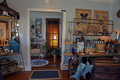 Fernandina Fossils & Co. photo 2