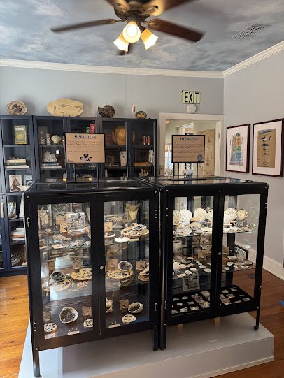 Fernandina Fossils & Co. photo 3