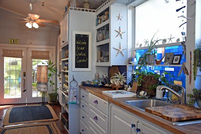Fernandina Fossils & Co. photo 4