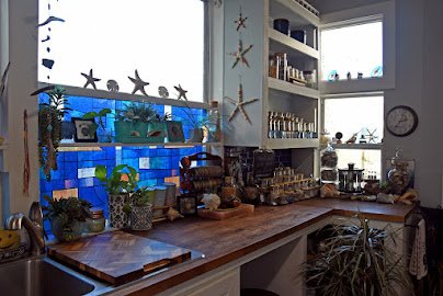Fernandina Fossils & Co. photo 5