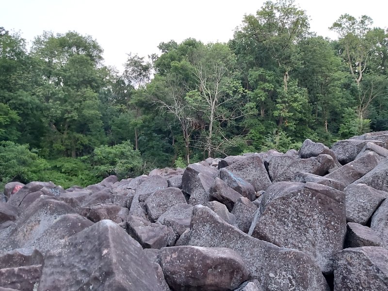 Ringing Rocks Roller Rink photo 6