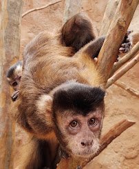 Rainforest Adventures Zoo