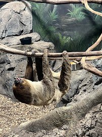 Rainforest Adventures Zoo photo 6