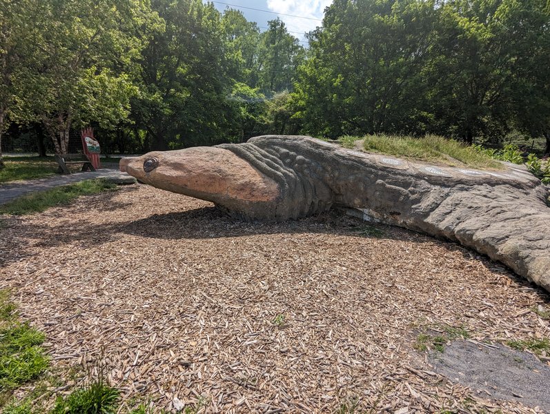 Cass Park photo 5