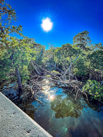 Anne Kolb Nature Center photo 6