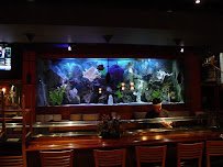 Southwest Seas photo 2