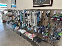 Southwest Seas photo 3