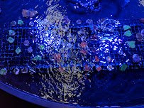 Southwest Seas photo 4