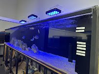 Southwest Seas photo 5