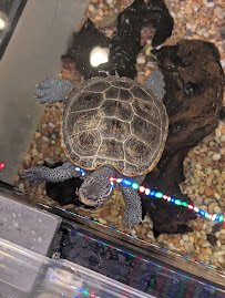 Save The Bay's Hamilton Family Aquarium