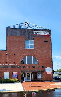 Save The Bay's Hamilton Family Aquarium photo 2