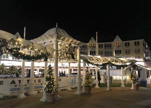 Ice at the Pier photo 3