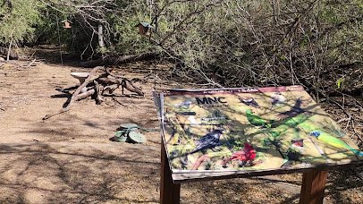 McAllen Nature Center photo 2