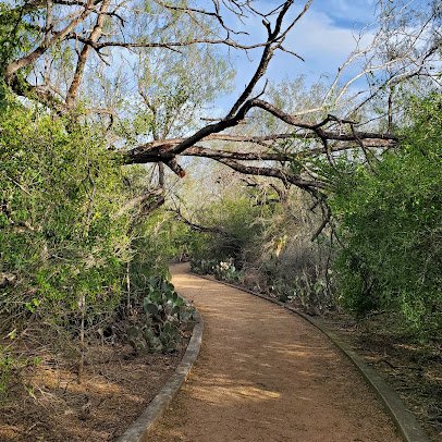 McAllen Nature Center photo 3