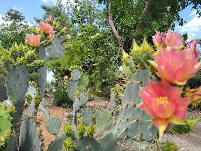 McAllen Nature Center photo 4