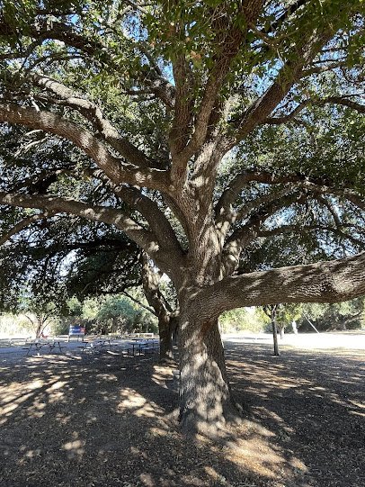 McAllen Nature Center photo 5