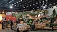 Jasmine Moran Children's Museum photo 2