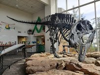 Jasmine Moran Children's Museum photo 4