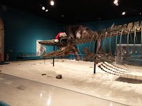 Georgia Southern Museum photo 3