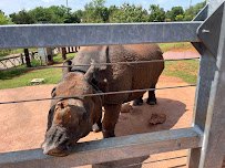 Oklahoma Zoological Society (OZS) photo 3
