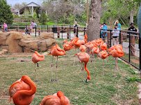Oklahoma Zoological Society (OZS) photo 4