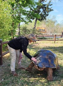 Oklahoma Zoological Society (OZS) photo 5