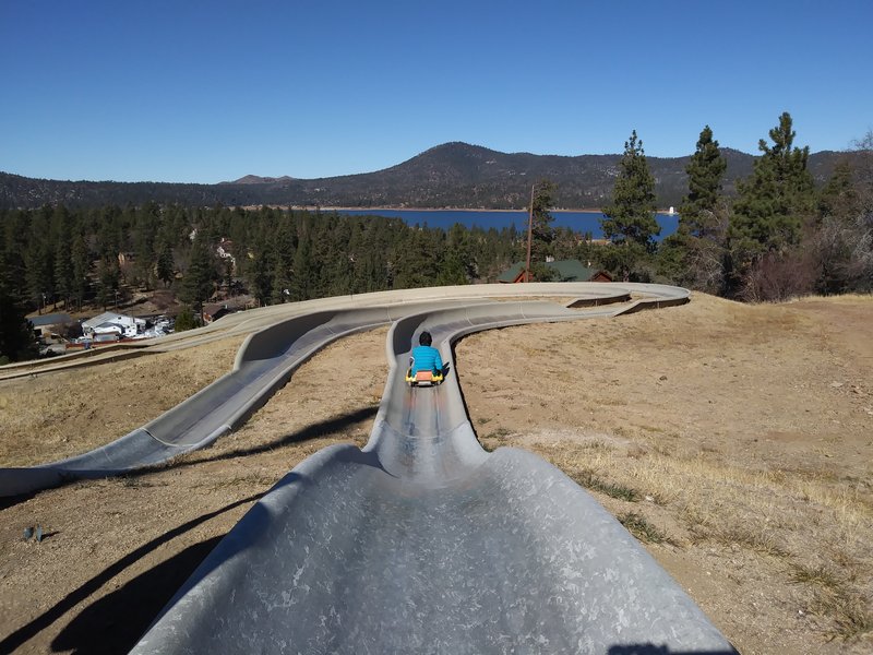 Alpine Slide at Magic Mountain photo 4
