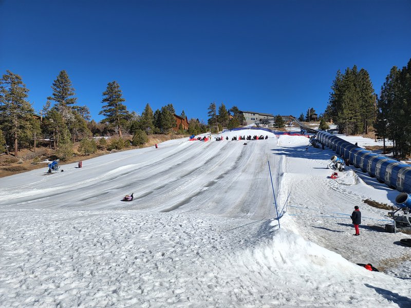 Alpine Slide at Magic Mountain photo 6