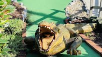 Black Pearl Mini Golf