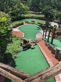 Black Pearl Mini Golf photo 3