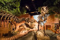 Mountain America Museum of Ancient Life at Thanksgiving Point