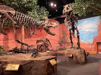Mountain America Museum of Ancient Life at Thanksgiving Point photo 3