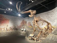 Mountain America Museum of Ancient Life at Thanksgiving Point photo 4