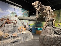 Mountain America Museum of Ancient Life at Thanksgiving Point photo 5