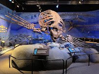 Mountain America Museum of Ancient Life at Thanksgiving Point photo 6