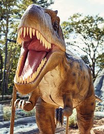 Raptor Falls Mini Golf & Adventure Park