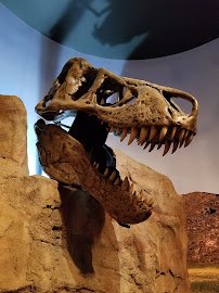 Western Science Center photo 3