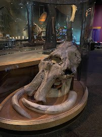 Western Science Center photo 4